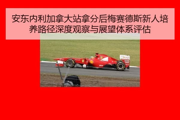 an-dong-nei-li-jia-na-da-zhan-na-fen-hou-mei-sai-de-si-xin-ren-pei-yang-lu-jing-shen-du-guan-cha-yu-zhan-wang-ti-xi-2-659.jpg