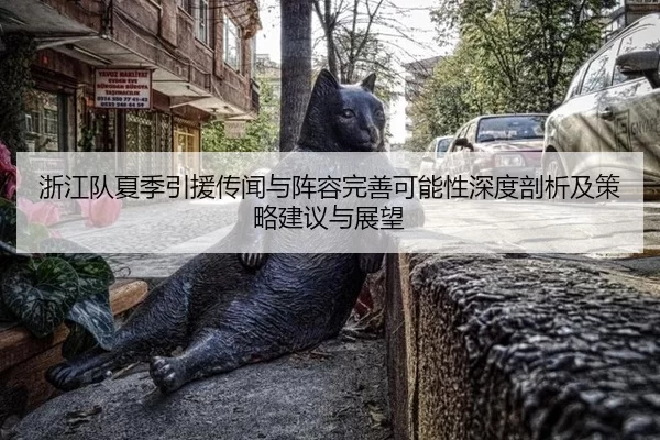 浙江队夏季引援传闻与阵容完善可能性深度剖析及策略建议与展望